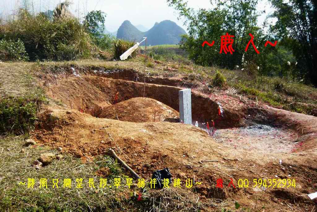 1石山叢林_14.jpg