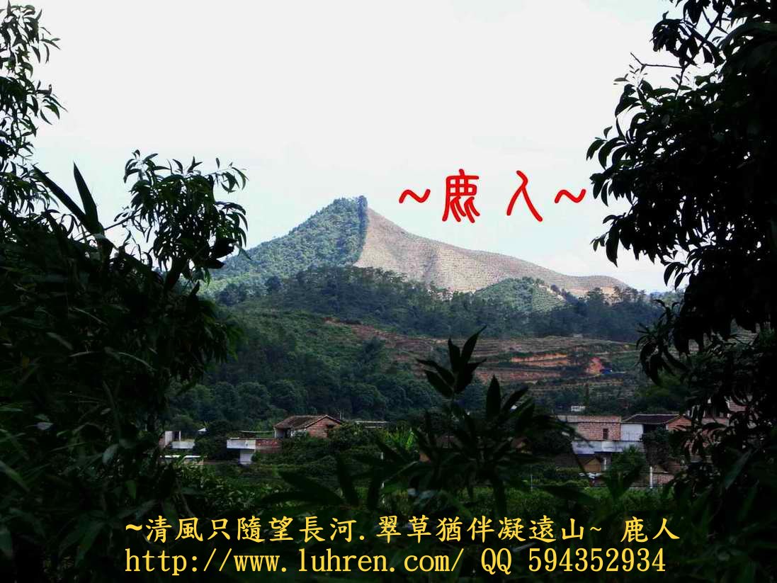 1有趣的山_111.JPG
