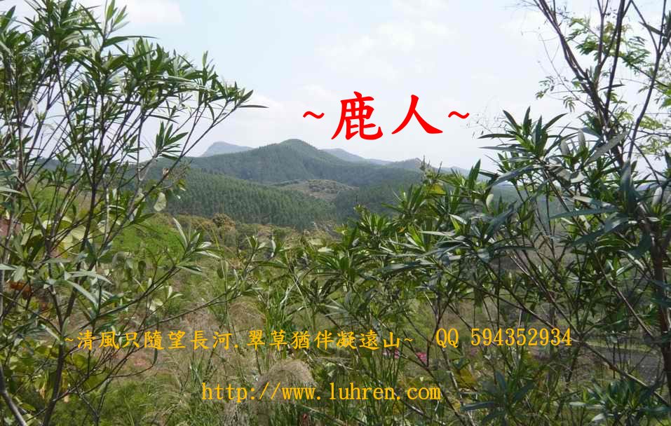 1完美的愛.JPG