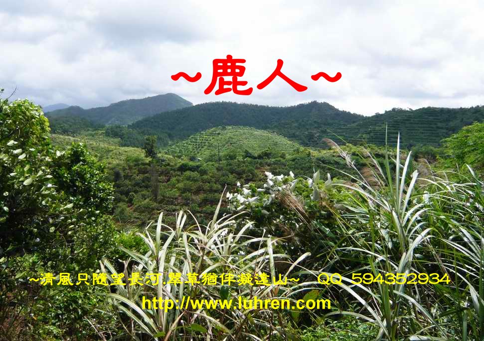 1呵護_598.JPG