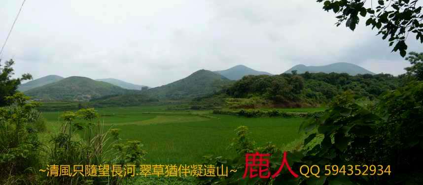 1兩廣交界的地.JPG