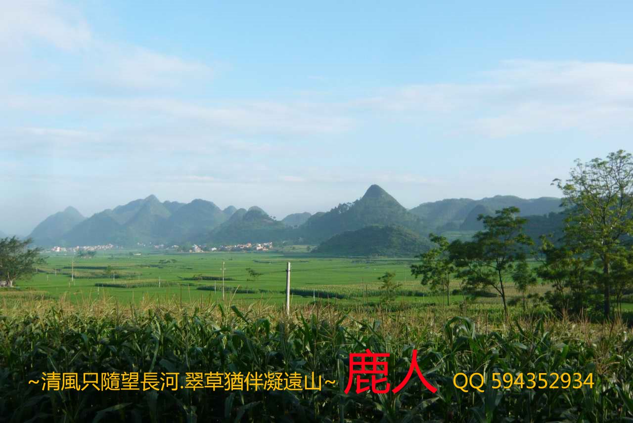 1兩廣交界的山.JPG