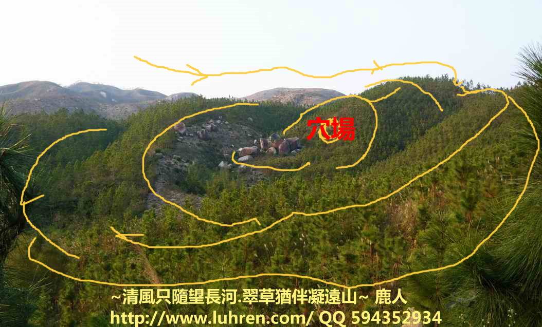 1官帽或蓮花_06.JPG.jpg