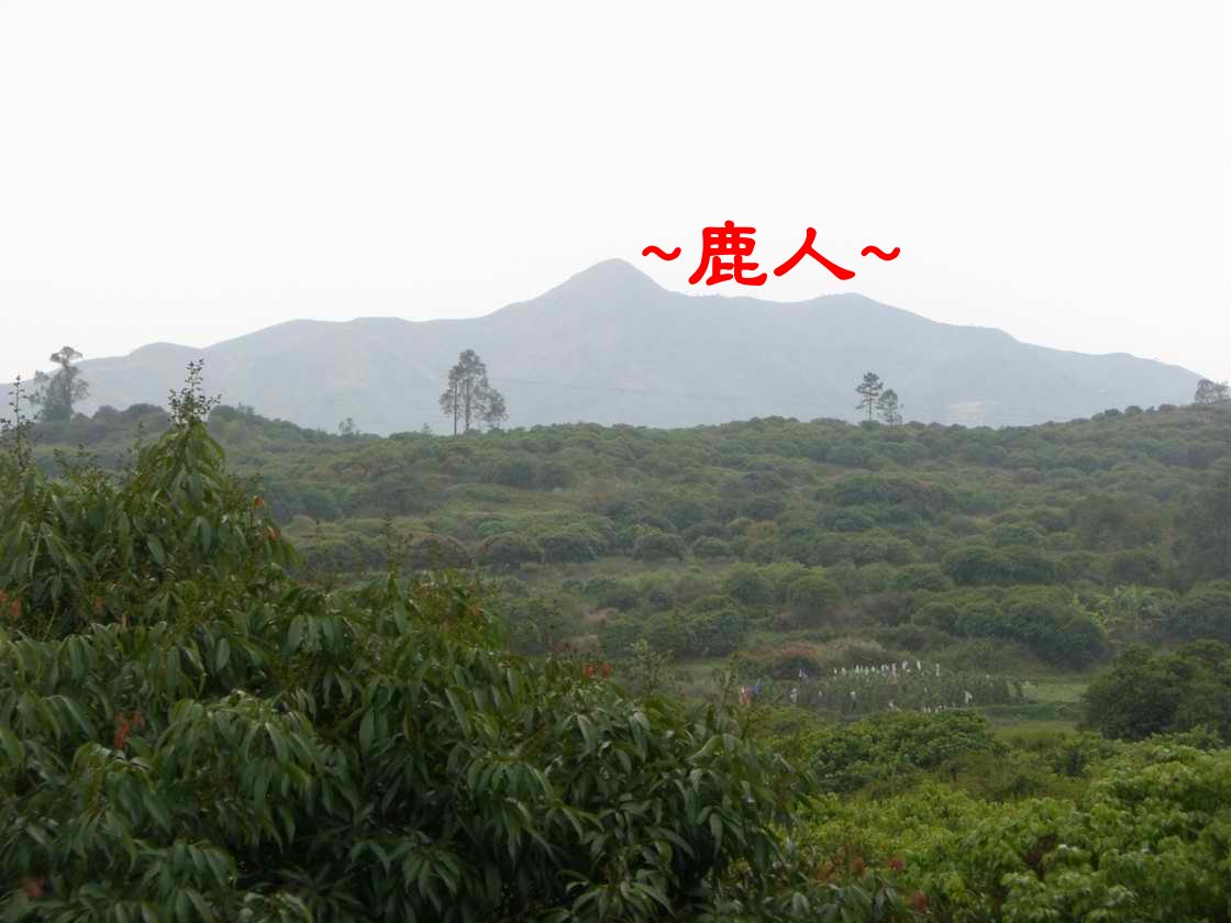 1明南山鄭公墓 遠看祖山.JPG