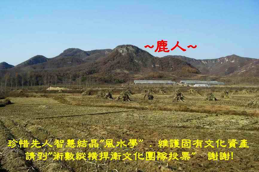 1東北雄獅.JPG