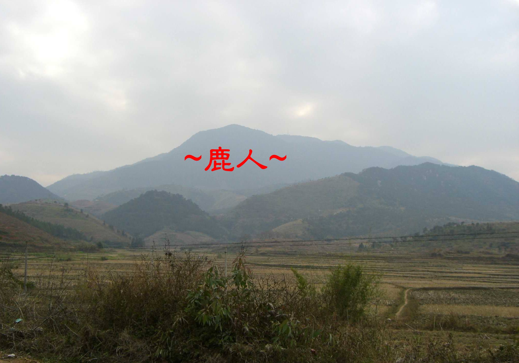 1近一點看祖山照.JPG