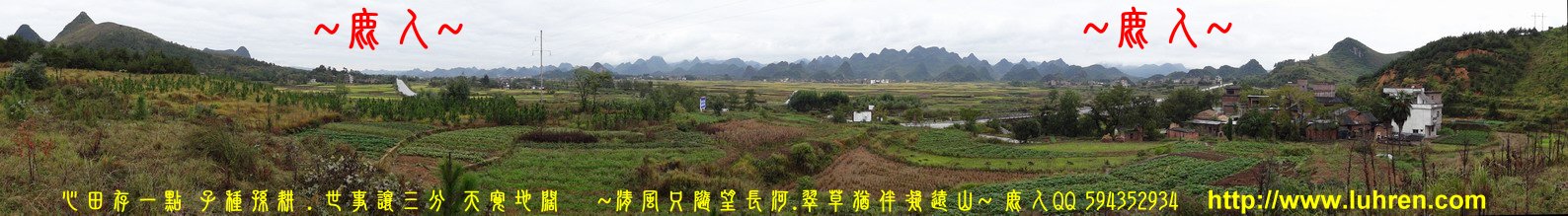 1帥_將_兵_01.JPG