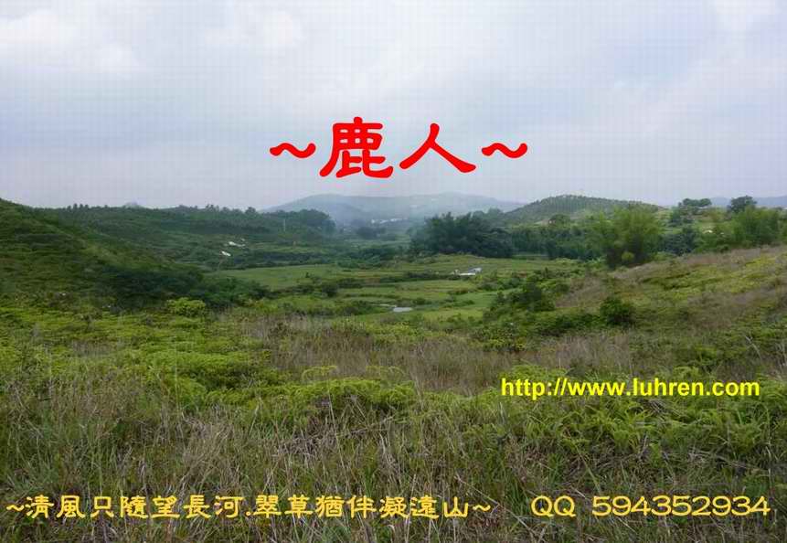 1看吧_01.JPG