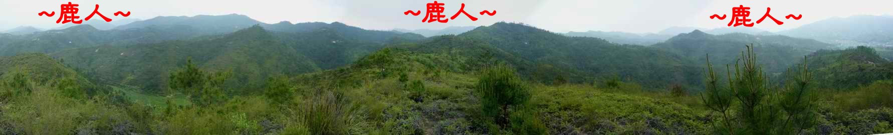 1看後龍一段1.JPG