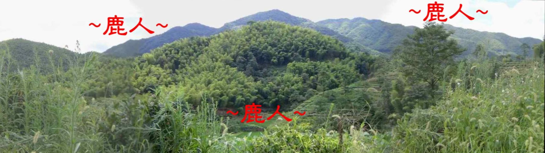 1看絲線吊銅鐘站在案山看穴場(銅鐘)照.JPG
