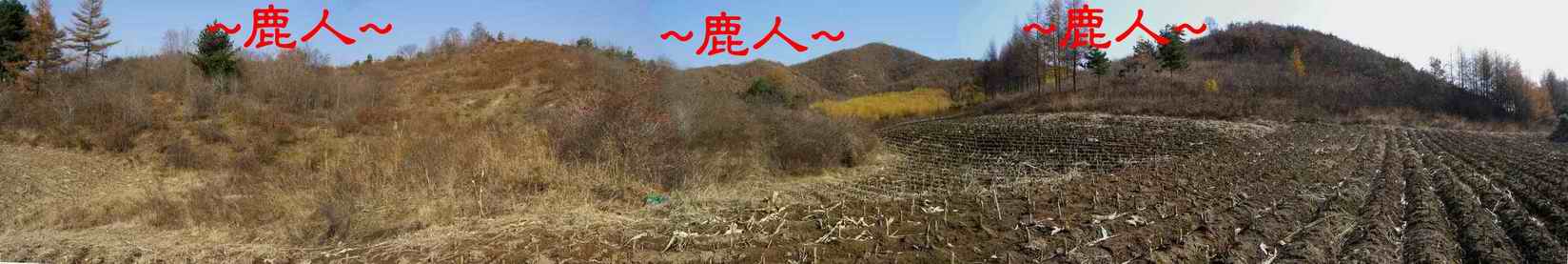 1側看父母山迎送行龍一段.JPG