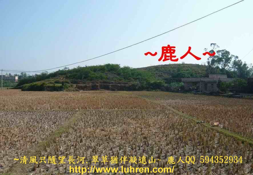 1側看龜形.JPG