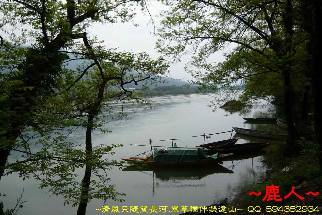 1寄岸_485.JPG
