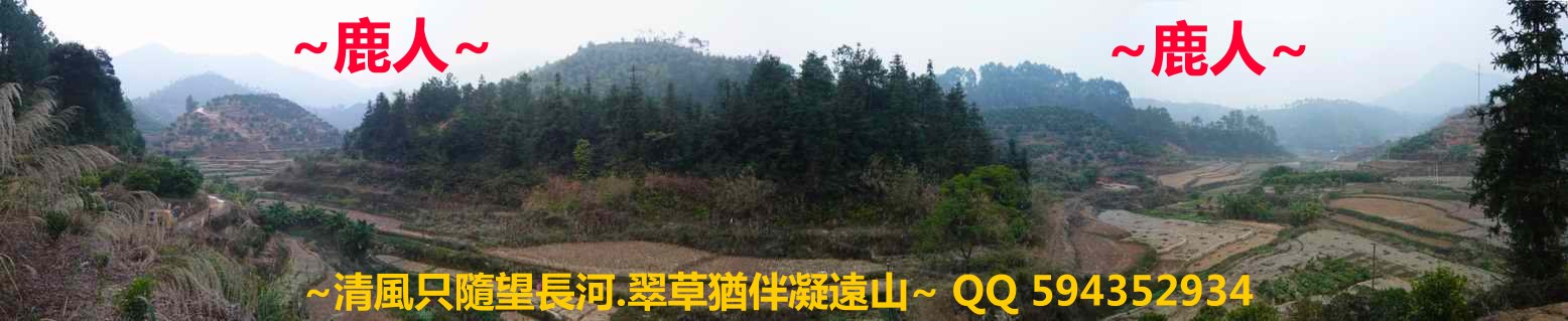 1猛虎跳牆_04.JPG