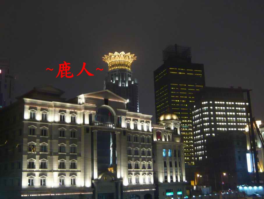1頂上開花_367_1.JPG