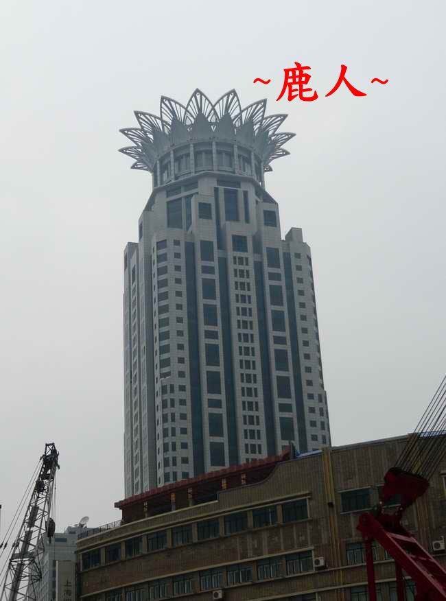 1頂上開花_367.JPG