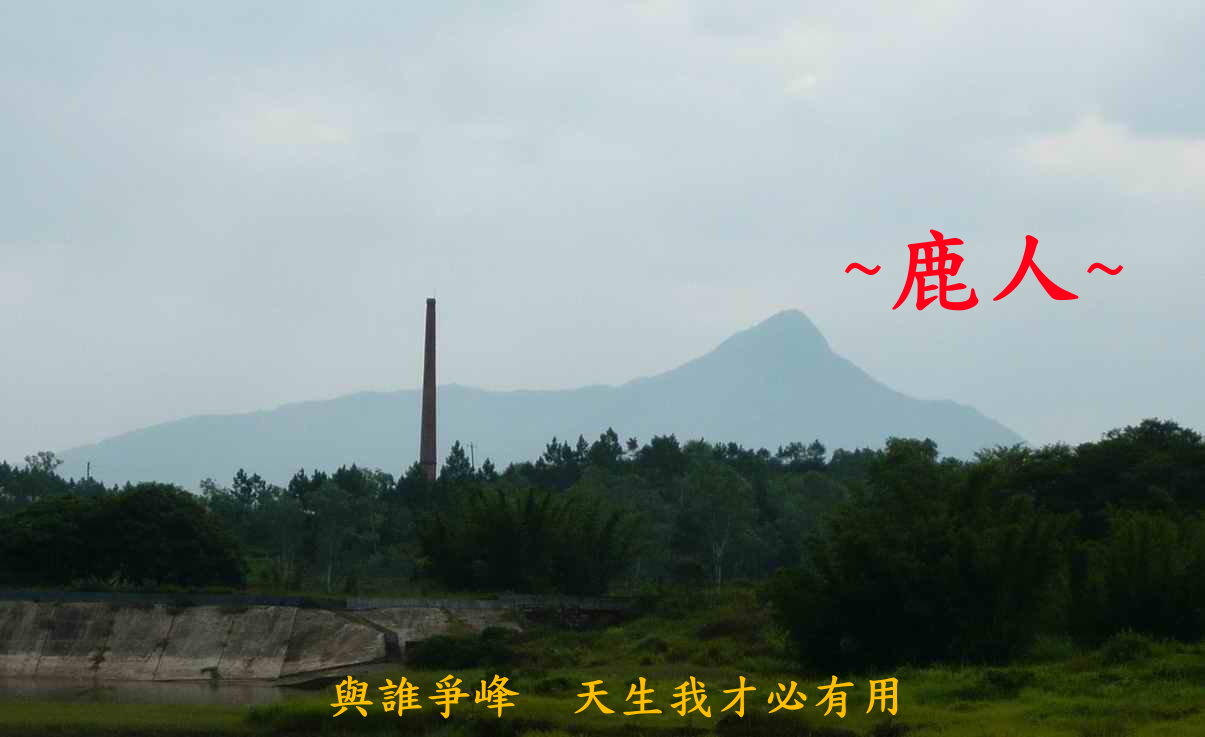1與誰爭峰_041_1.jpg