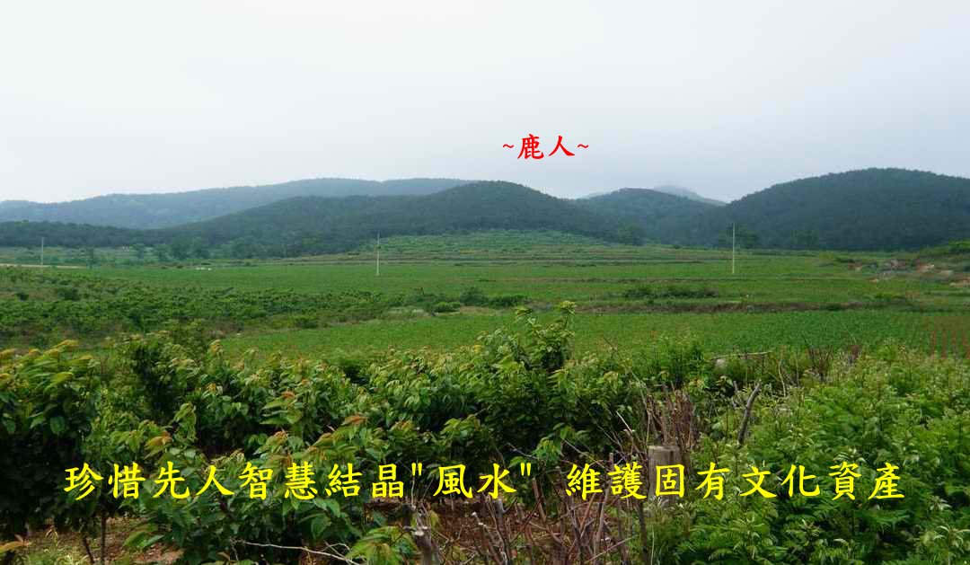 1遼寧盡地_039.JPG