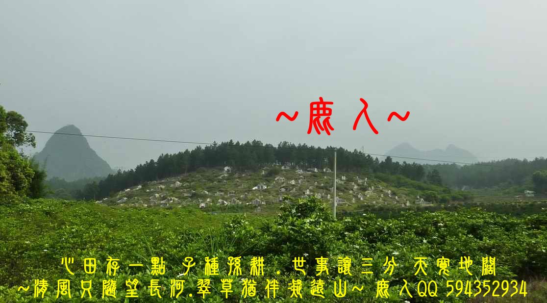 1歸來兮_02_1.JPG