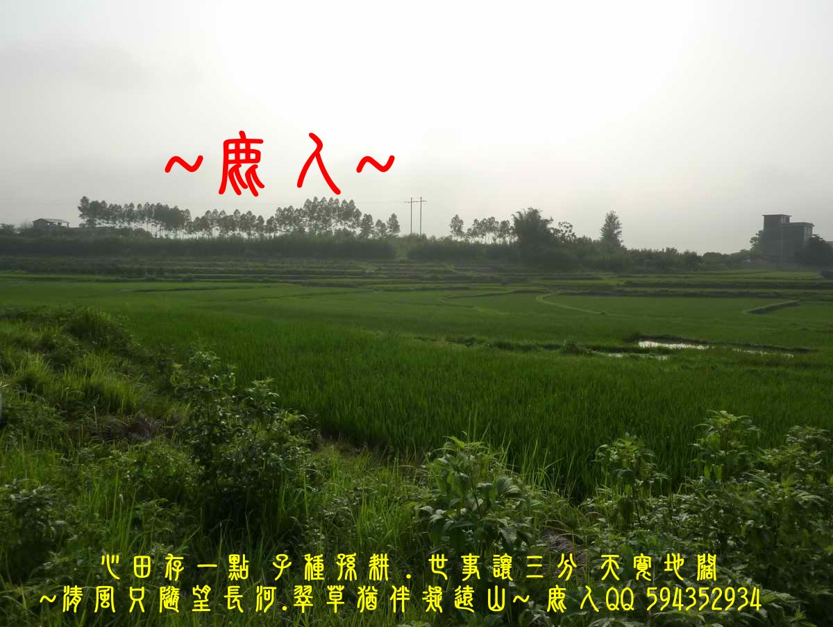 1歸來兮_10.JPG