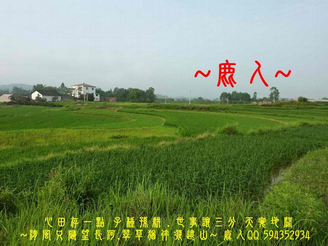 1歸來兮_11.JPG