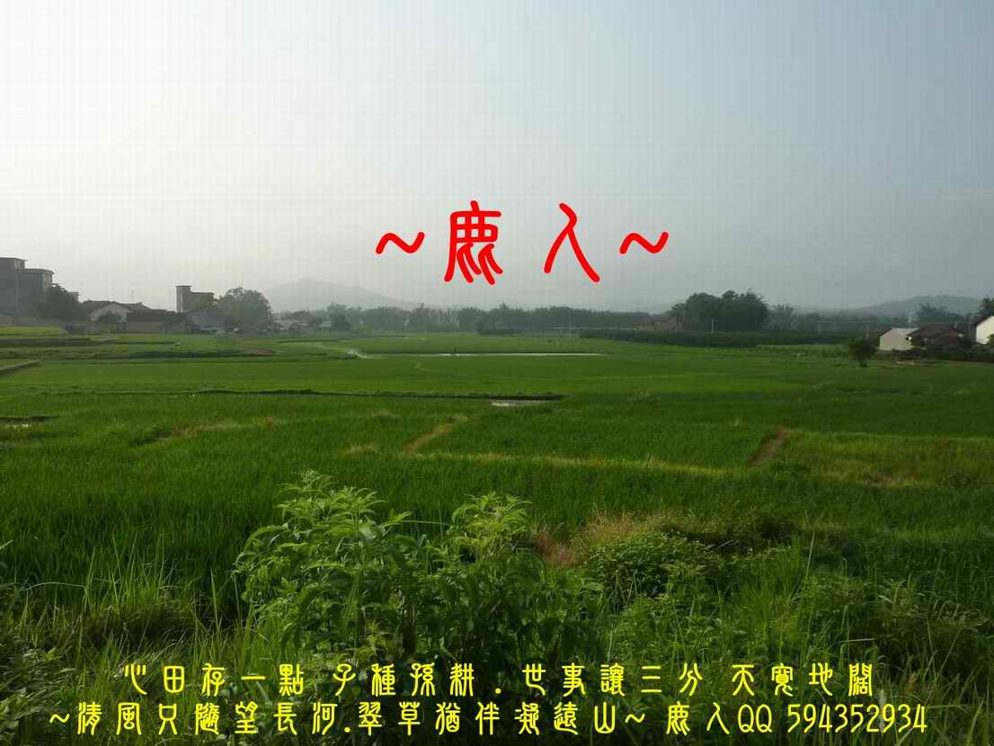 1歸來兮_13.JPG