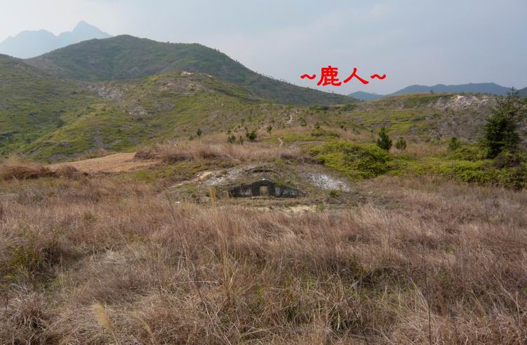 1豔陽來賞你1.JPG