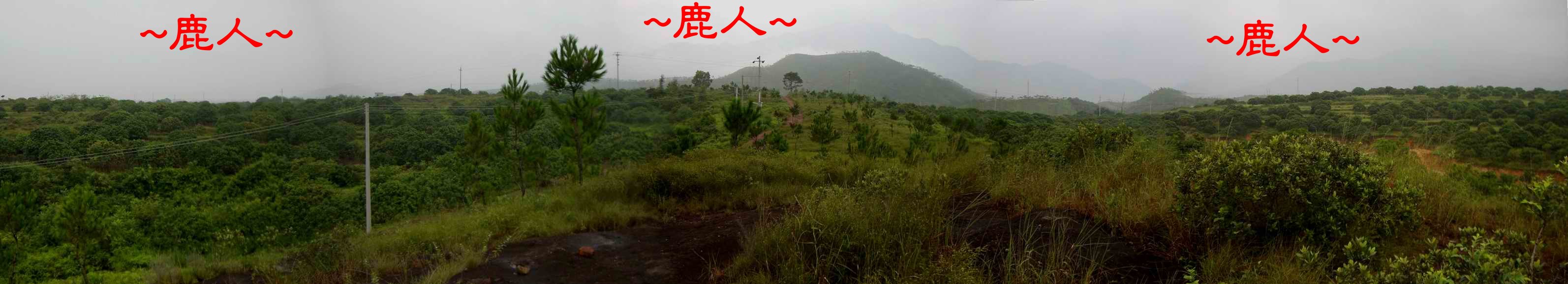 2在穴星頂巨石看入父母山來龍開帳入首全照2.JPG