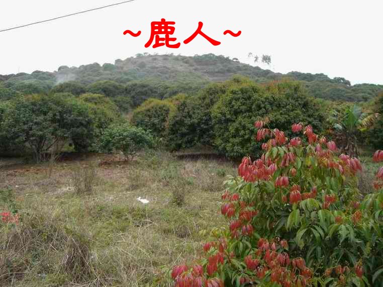 2明南山鄭公墓 看父母山.JPG