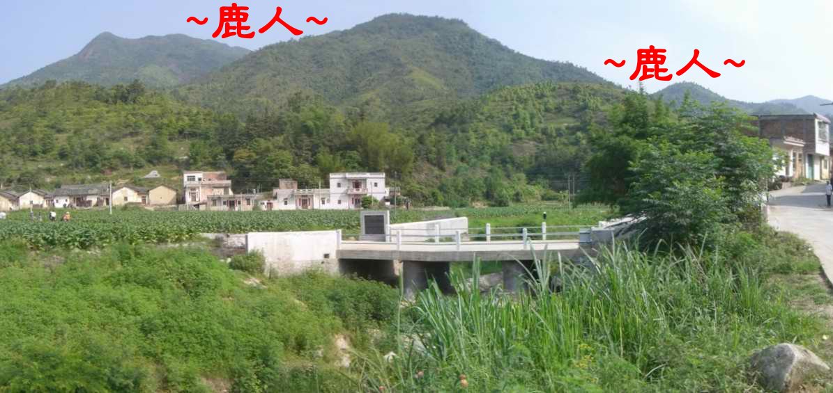 2近看水口山之祖山父母山下脈與穴星收逆水照.JPG