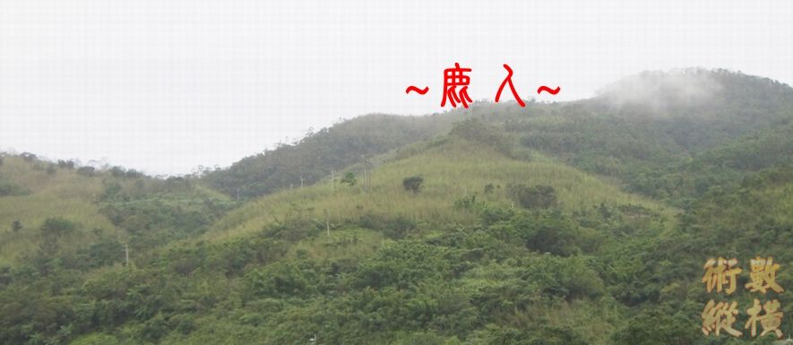 2複製 右邊側看下脈特寫.jpg