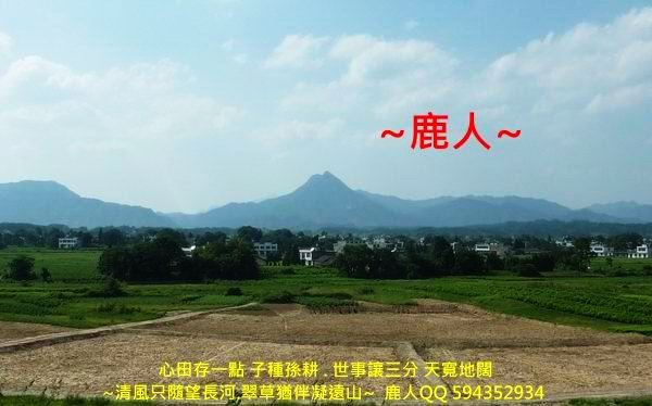 2頭頂_藍天白雲.JPG