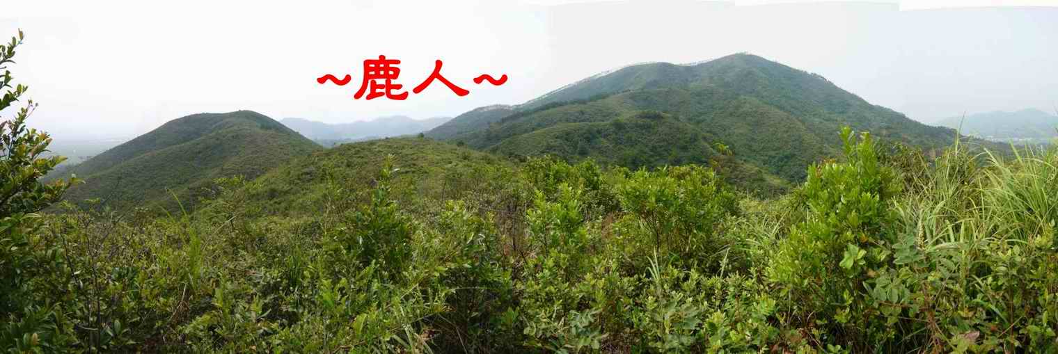 7在穴星頂後看父母山入首.JPG