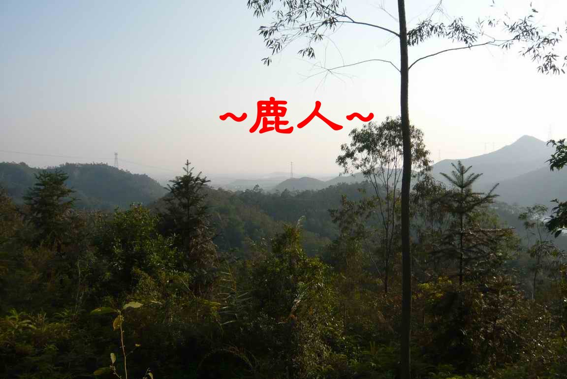 7於穴上看朝堂.JPG