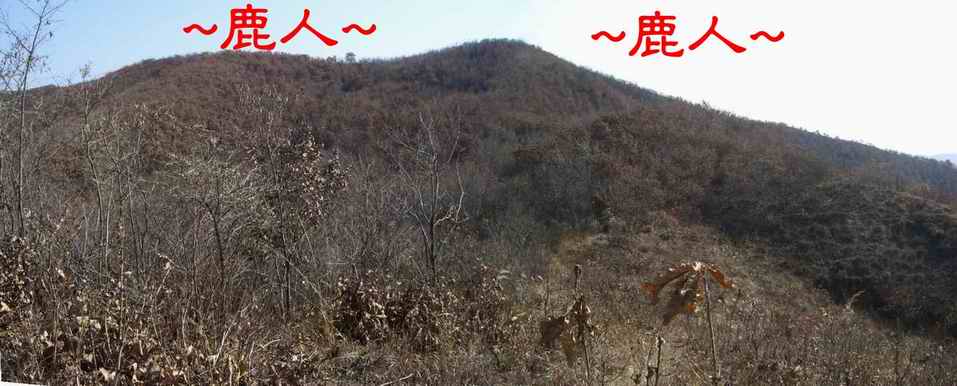 7近看父母山下脈束氣照.JPG