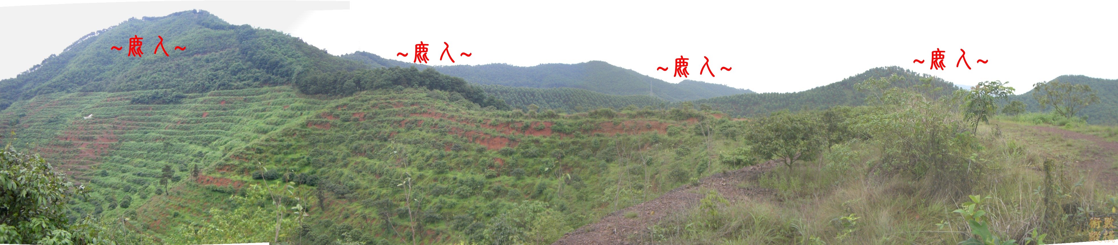 7複製 側看祖山過峽與左帳特寫全照.JPG