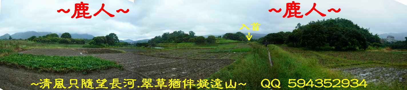 4由來龍脈上往前側看入首與穴星照.JPG