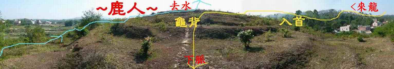 4在穴後看龜殼與來龍束氣與脖子照(標示).JPG