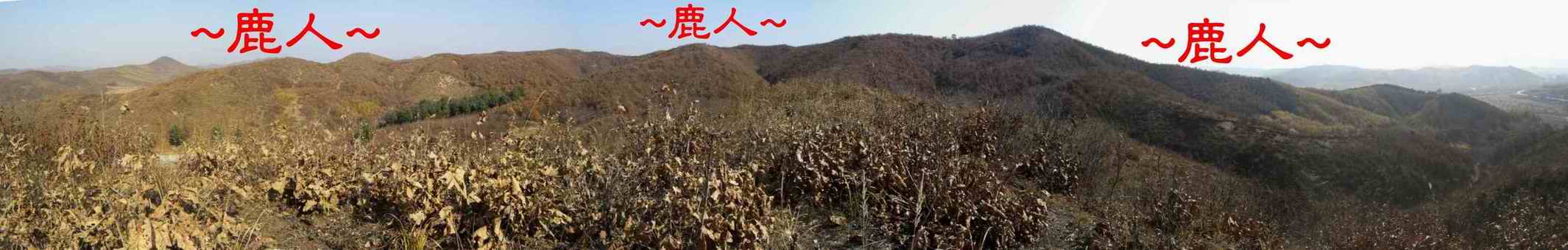 4看來龍與父母山下脈過峽照.JPG
