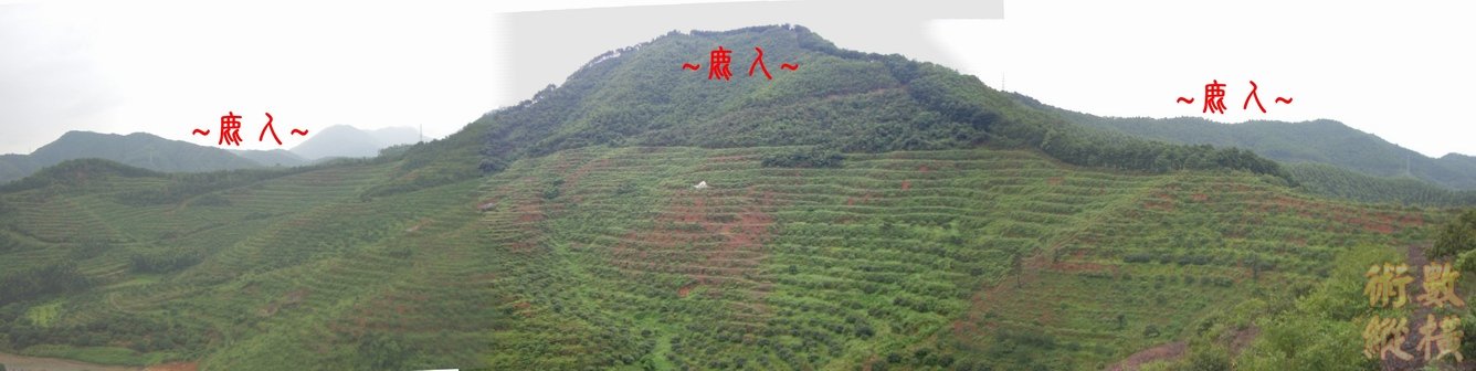 4複製 祖山與開帳.JPG