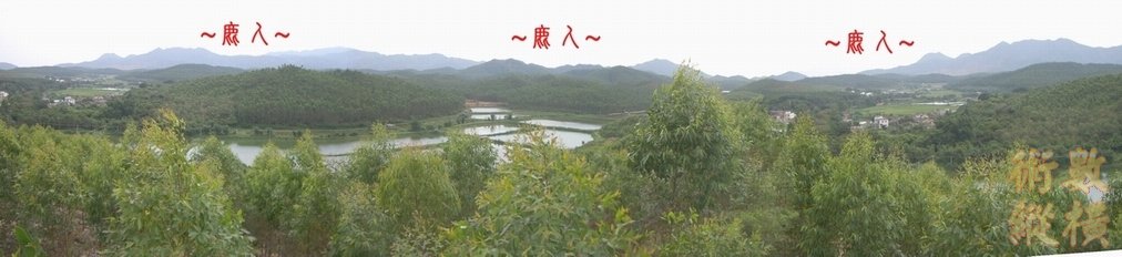 4複製 側看祖山來龍與右帳砂全照.JPG