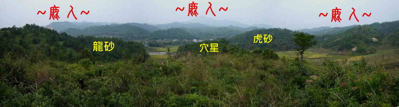 5俯視下脈穴星龍虎砂與朝堂全景.JPG