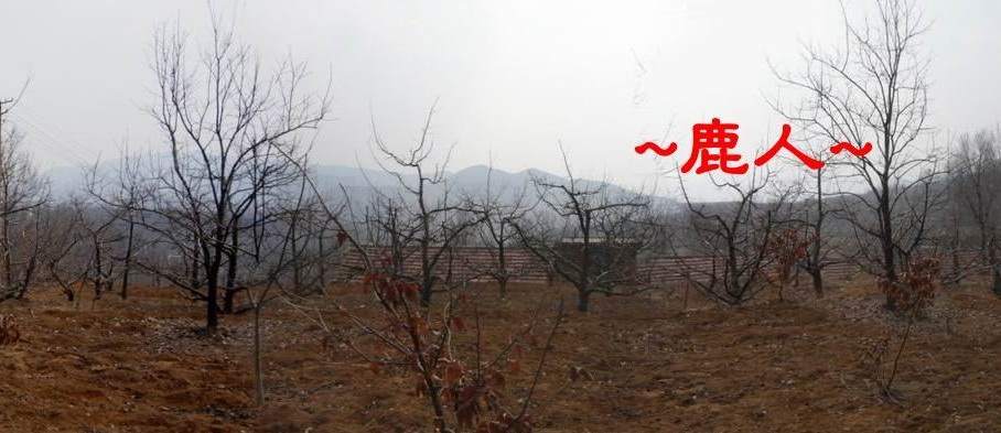 5在穴上看朝堂照.JPG