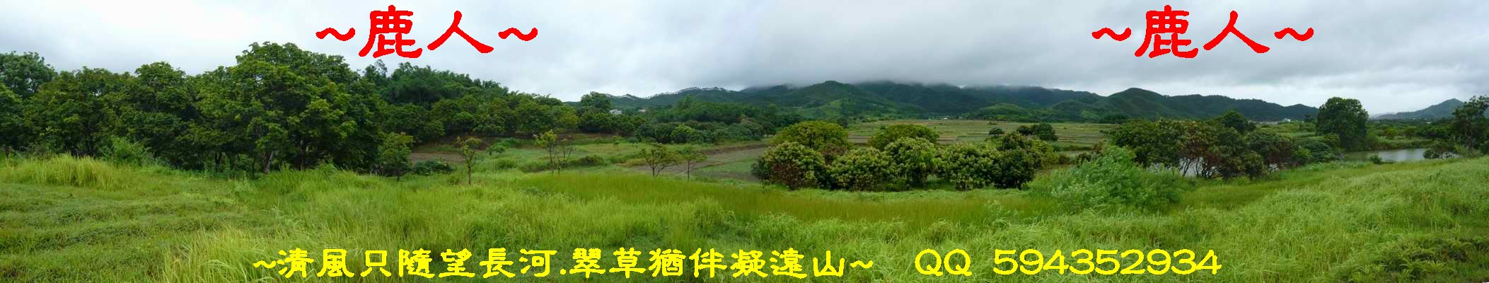 5在穴星頂後看來龍照.JPG