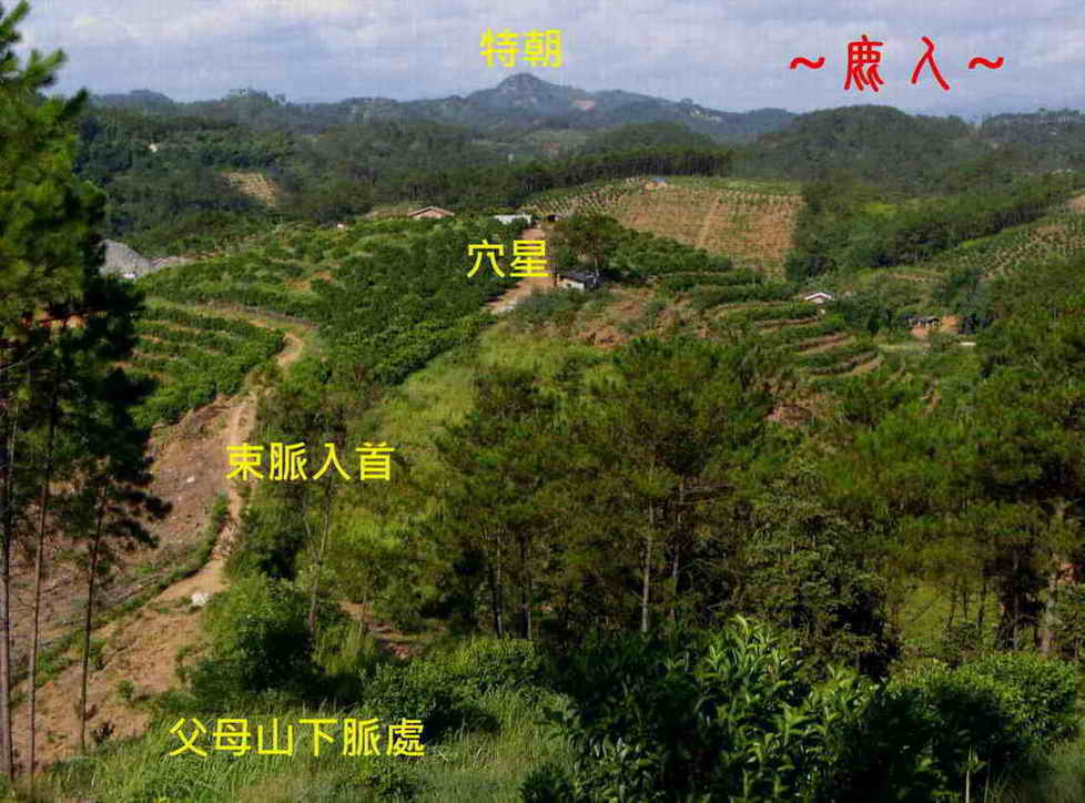 5看束脈穴星與堂局朝貴特照.JPG