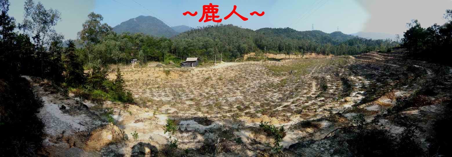 6.於案山下看穴場照.JPG