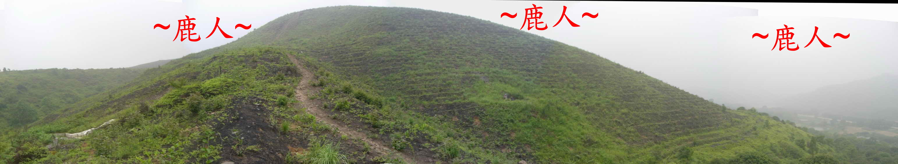 686_2在虎砂側看穴山照.JPG