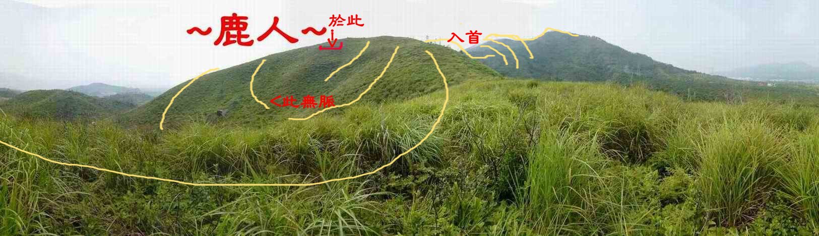 6_1由龍砂上端側看父母山入首穴山(標示).JPG