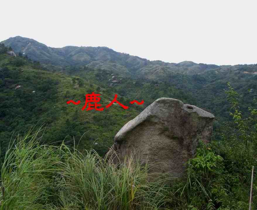 6玉兔守山.jpg
