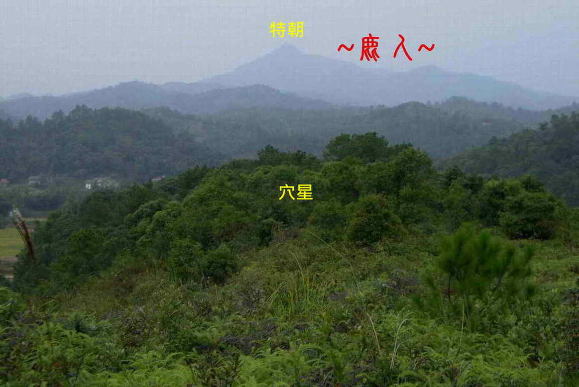 6由後看穴星與特朝.JPG